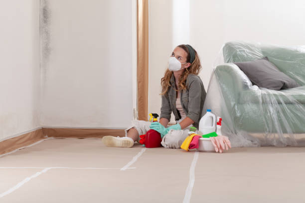 Reliable Mold Remediation contractor in Hillsborough, NJ by Cheap Mold Removal